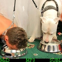 MzDominica - File Descriptions/MzDominica - File Descriptions/Woof! Part 2.jpg